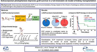 Extracorporeal Photopheresis Improves Graft Survival in a Full-Mismatch Rat Model of Kidney Transplantation